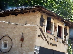 DSCN0723 DSCN0723