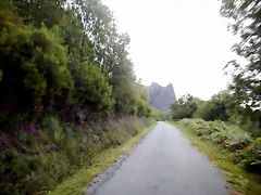 DSCN7032 DSCN7032