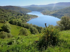 1-IMG_6603