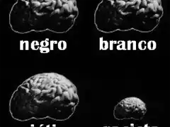 302988_305700419440387_100000012932720_1297649_879159908_n