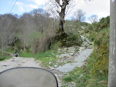 IMG_0181 IMG_0181