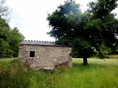 DSCN4584 DSCN4584