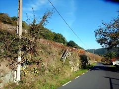 DSCN1530 DSCN1530