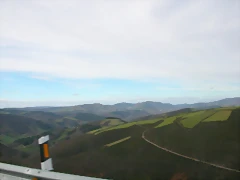 DSCN7886