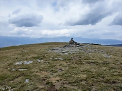 IMG_1962