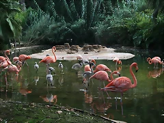 Zoo de Barcelona 07-09-2010 235 Zoo de Barcelona 07-09-2010 235