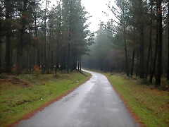DSCN5625 DSCN5625