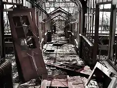 greenhouse-abandoned