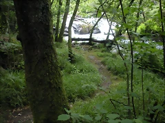 DSCN2808 DSCN2808