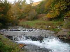 DSCN6094 DSCN6094