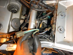 DSCN1360 DSCN1360
