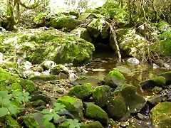 DSCN3229 DSCN3229