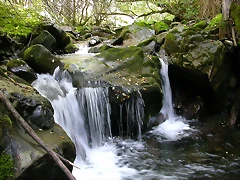 DSCN3232 DSCN3232