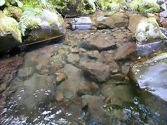 DSCN3233 DSCN3233
