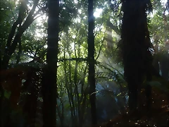 P1100555 P1100555