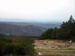DSCN4990 DSCN4990