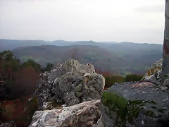 DSCN4994 DSCN4994
