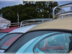 DSC_0053 DSC_0053