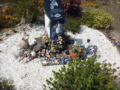 DSCN1906 DSCN1906