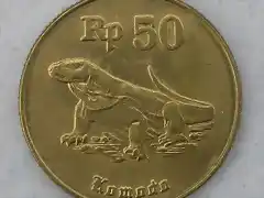 Komodo_coin,_Indonesia_Dscn0057