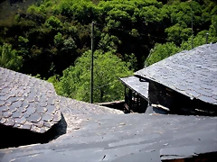 DSCN5829