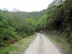 IMG_0481 IMG_0481