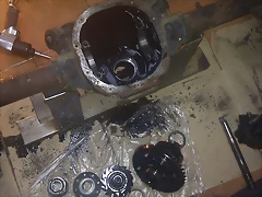 IMAG1079 IMAG1079
