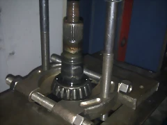 IMAG1120 IMAG1120