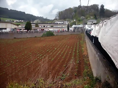DSCN4071