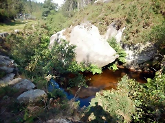 DSCN5695 DSCN5695
