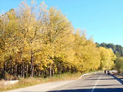 DSCN8871 DSCN8871