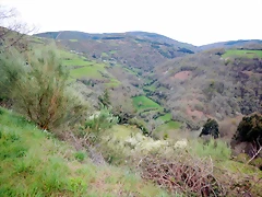 DSCN4085 DSCN4085
