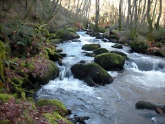 DSCN2093 DSCN2093