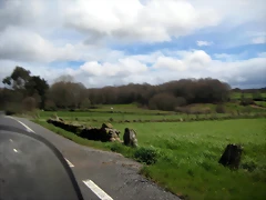 IMG_2440 IMG_2440