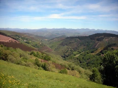 DSCN4991 DSCN4991