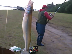 100_0035 100_0035