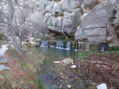 DSC00385 DSC00385