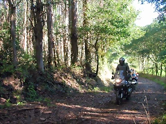 DSCN5487 DSCN5487