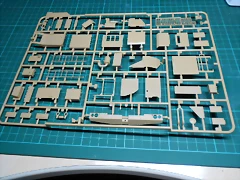 DSCN3986 DSCN3986