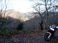 DSCN0131 DSCN0131