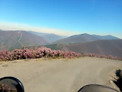 DSCN2578 DSCN2578
