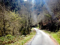 DSCN5140 DSCN5140
