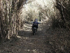 mtb olocau 047 mtb olocau 047