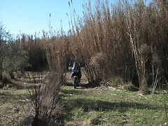 mtb olocau 039 mtb olocau 039