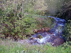 DSCN9086 DSCN9086