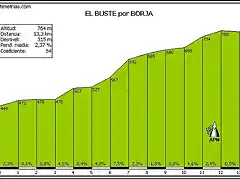 EL BUSTE POR BORJA