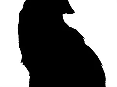 lobo_aullando_bn lobo_aullando_bn