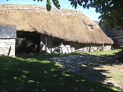 IMG_1118 IMG_1118
