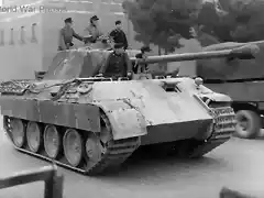 Panther_215_italy_44_2