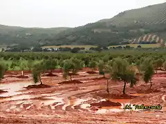 03, estacas en la vega 2, marca